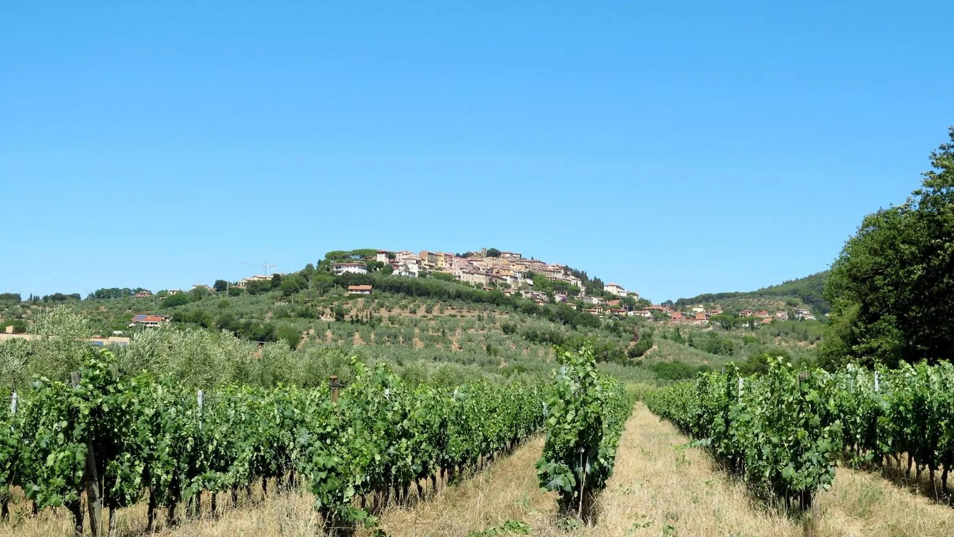 Holiday Home Podere Il Pezzo By Interhome Castagneto Carducci Italy