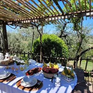 Casa vacanze Carducci, Castagneto Carducci